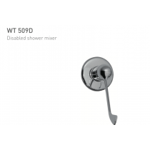 ECT Disabled Shower Mixer